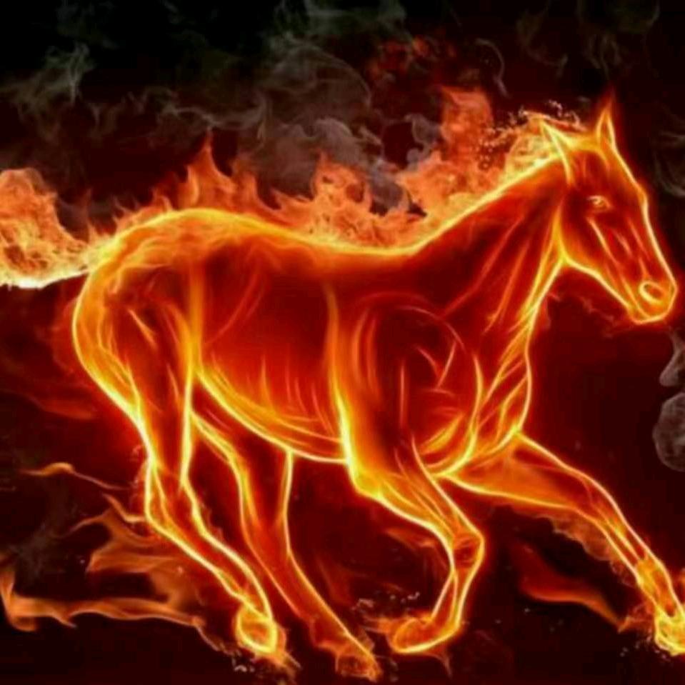 河南棋王徐国伟