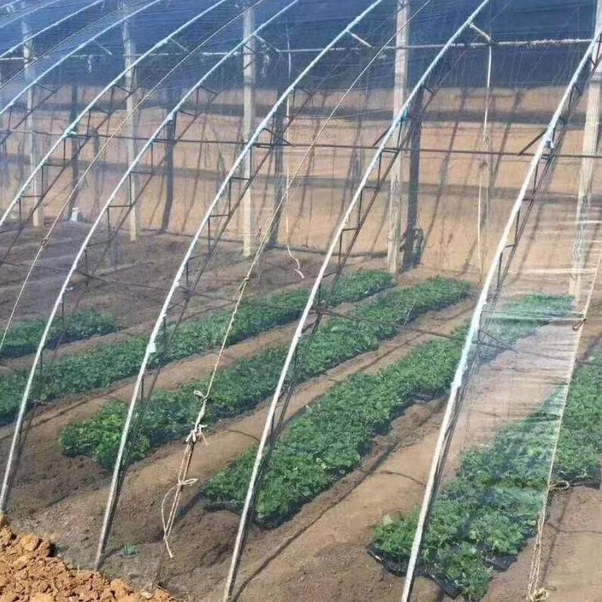 山东昌乐鲁光塑料制品有限公司