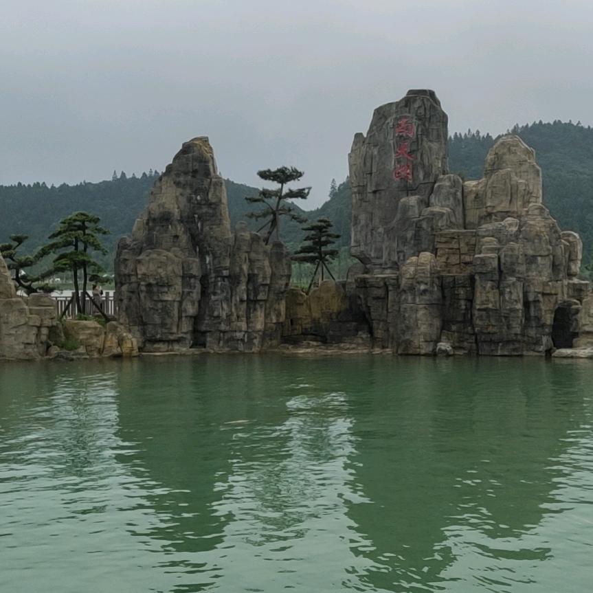 逆流的鱼