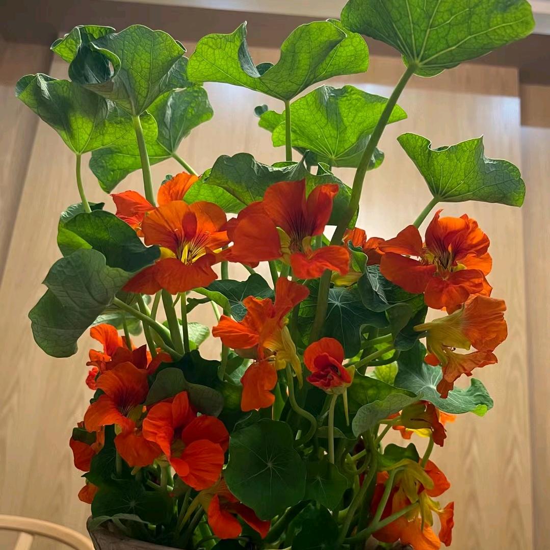 为成功奋斗到底