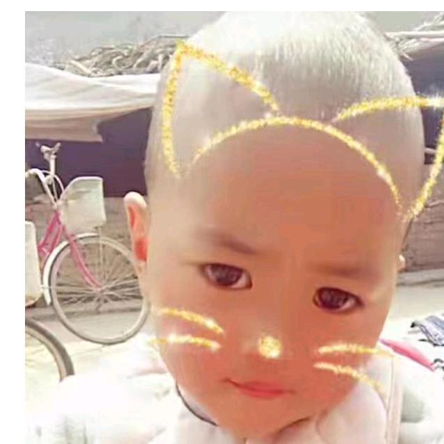 蝴蝶梦～