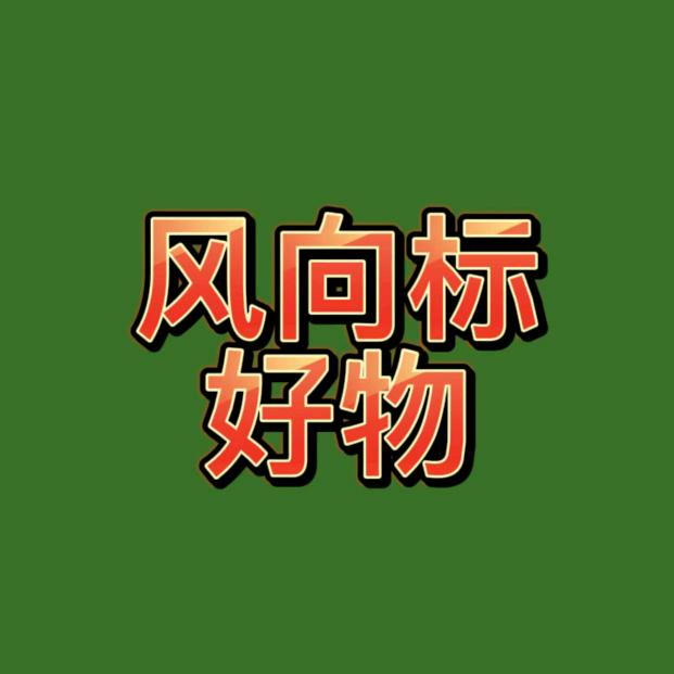 巢湖市槐林镇日月明软件工作室