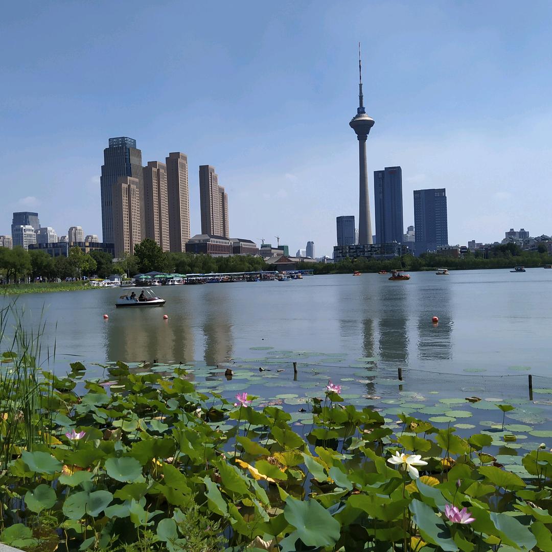 渔人自乐