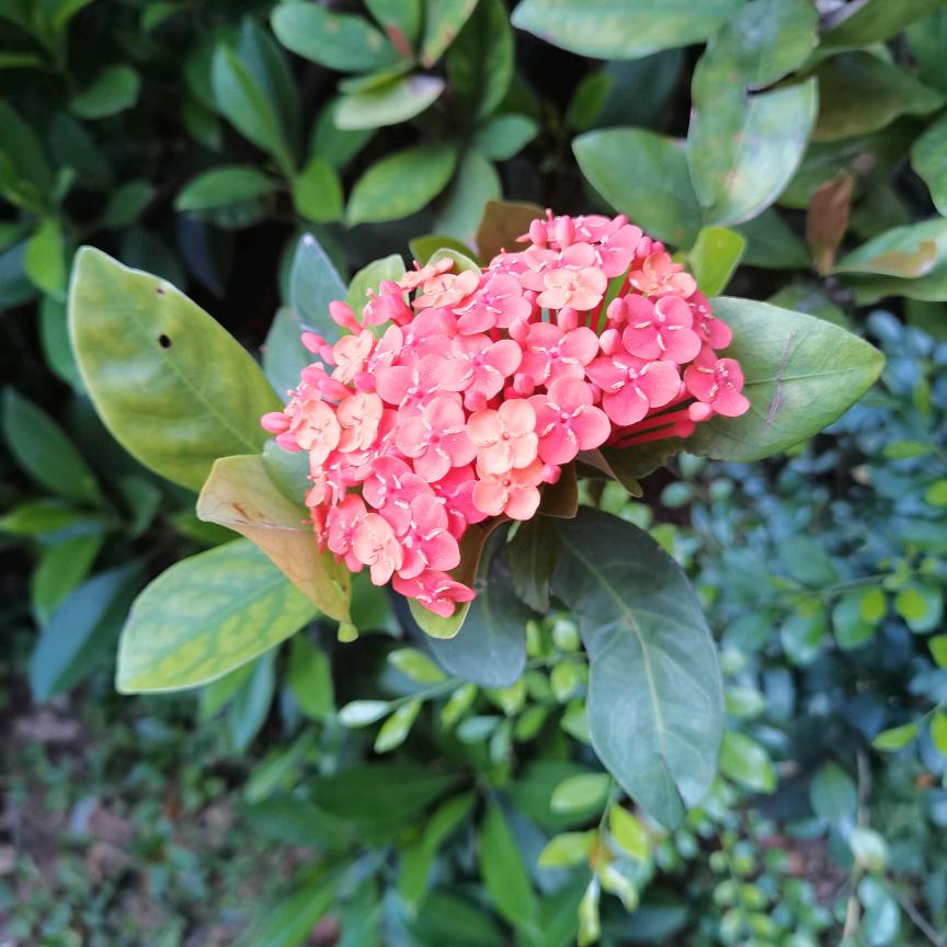 A裕镁平面设计（广告）