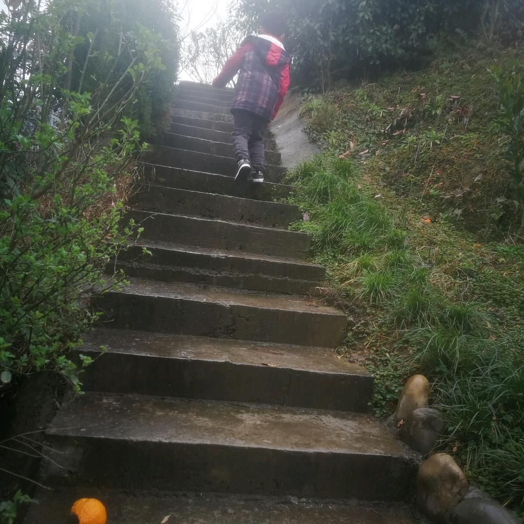 郑中明