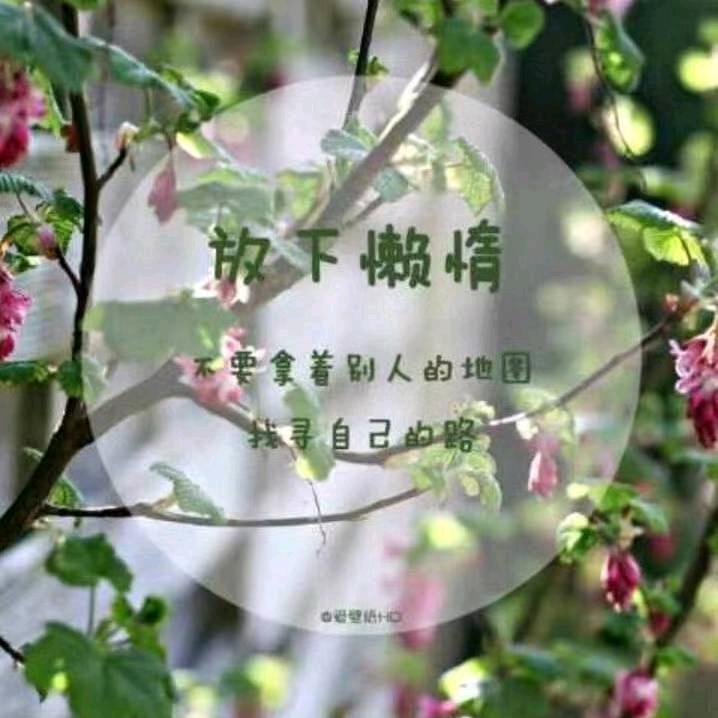 爱拼🌹，才会赢！！