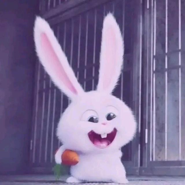 🐰小了白了兔🐰