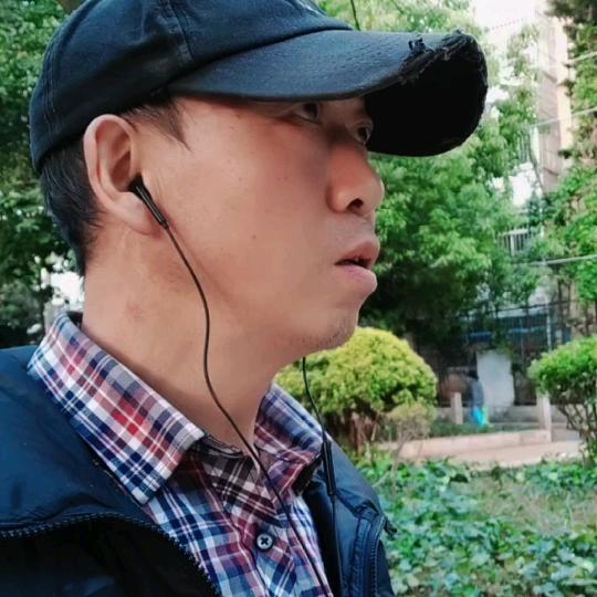 黑老葱
