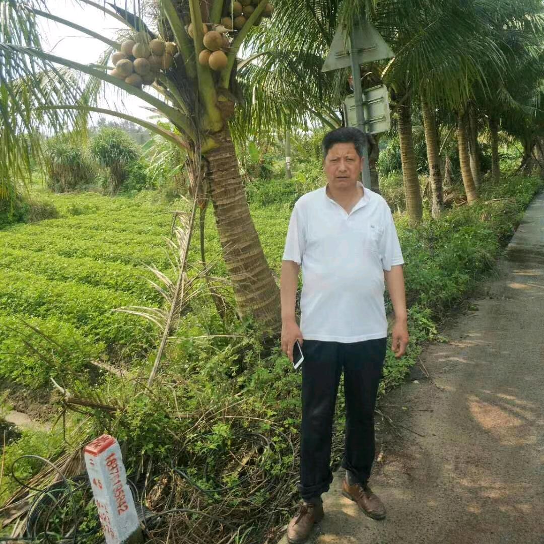 汉中城固桔子，韩哥