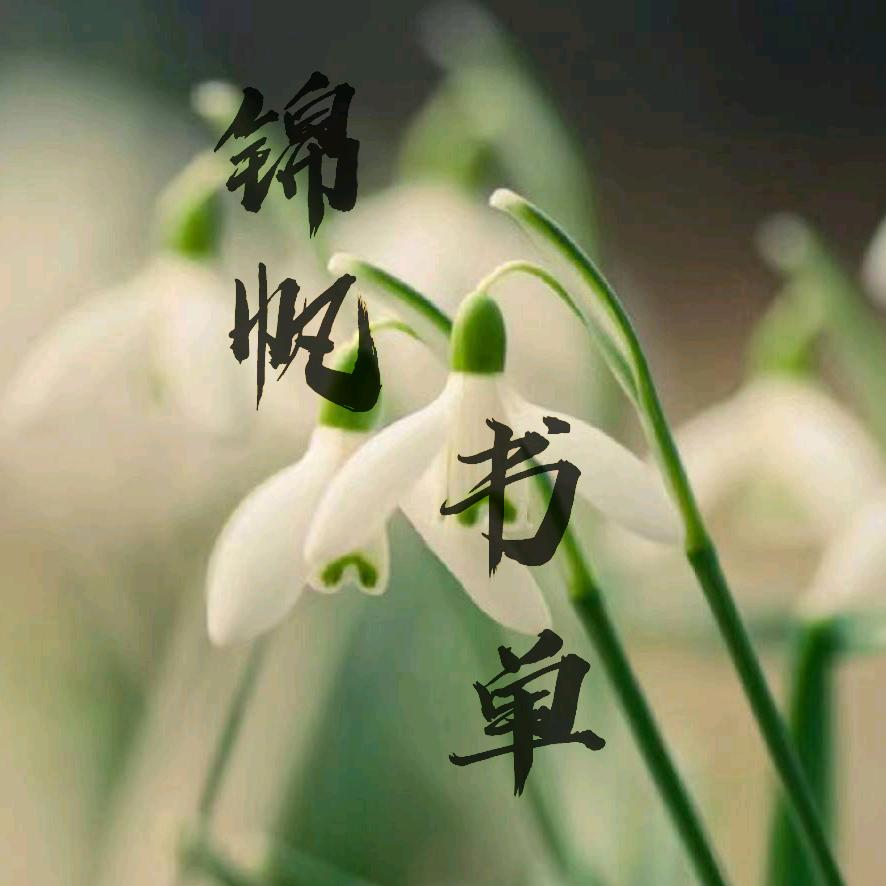 锦水归帆