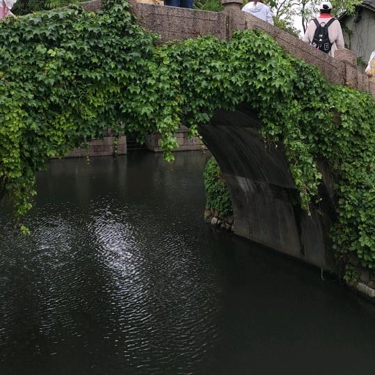 健鸥