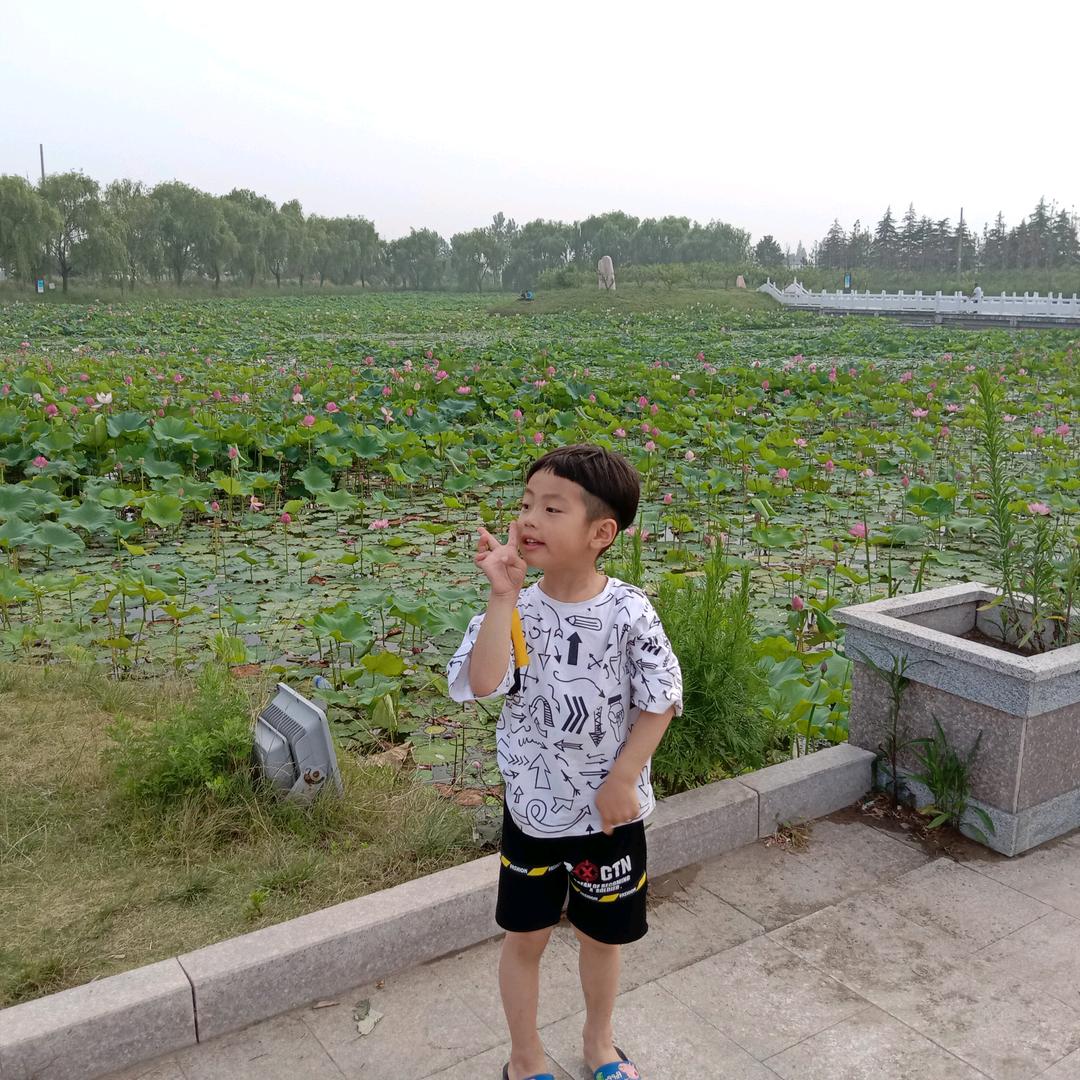 user4017916455636羊哥