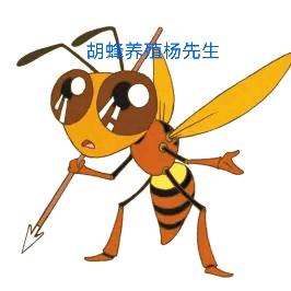 春雨胡蜂养殖  蜂蛹批发