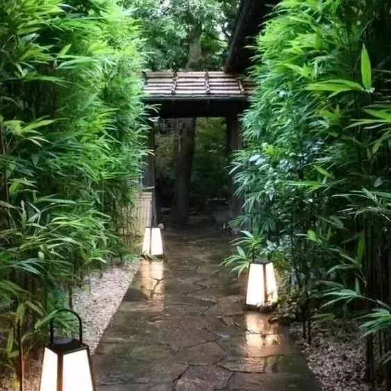 西郊村外