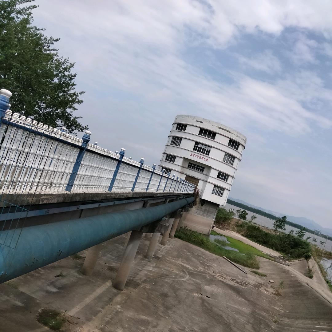 任我行: