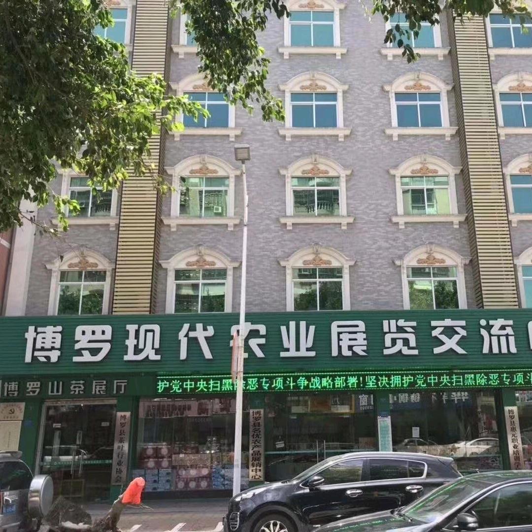 柏塘山茶