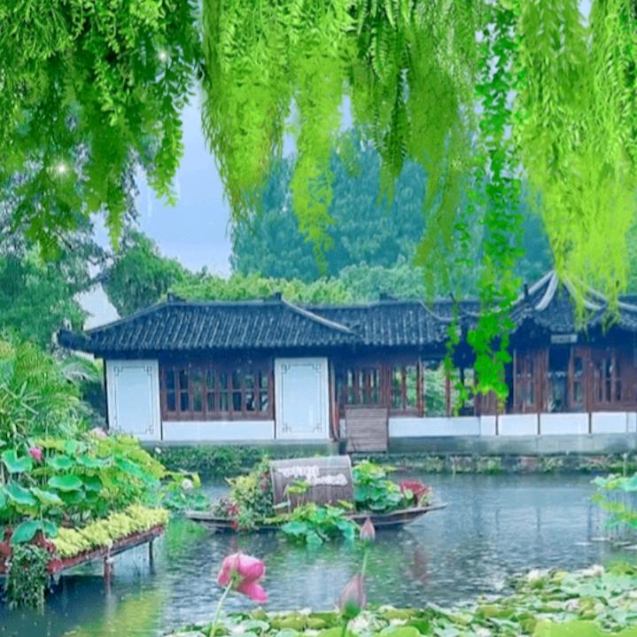 施玉珍
