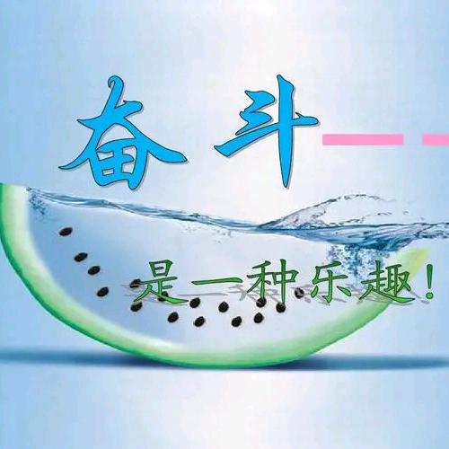 @王蹭蹭