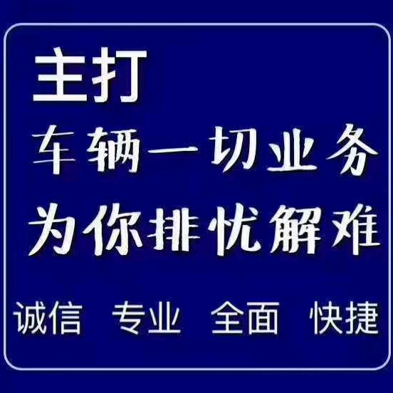 车管业务－专业咨询  办理