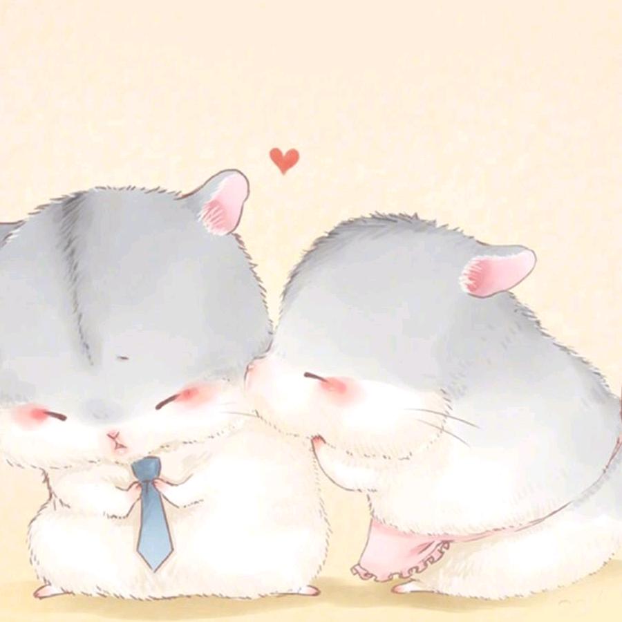 惜玖
