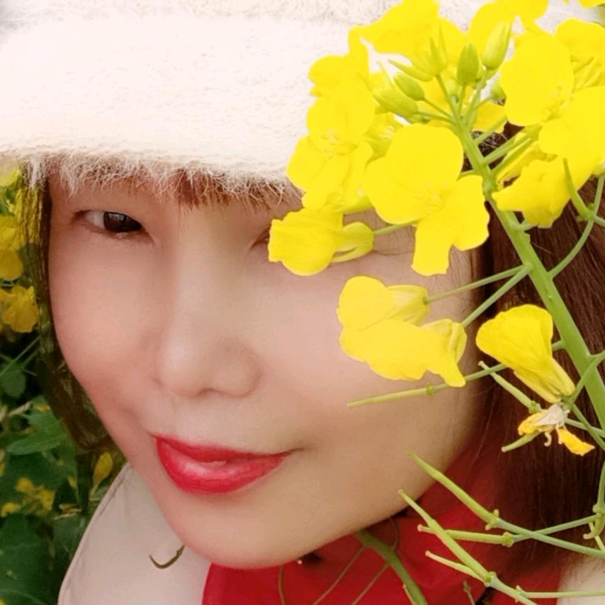 蔷薇花