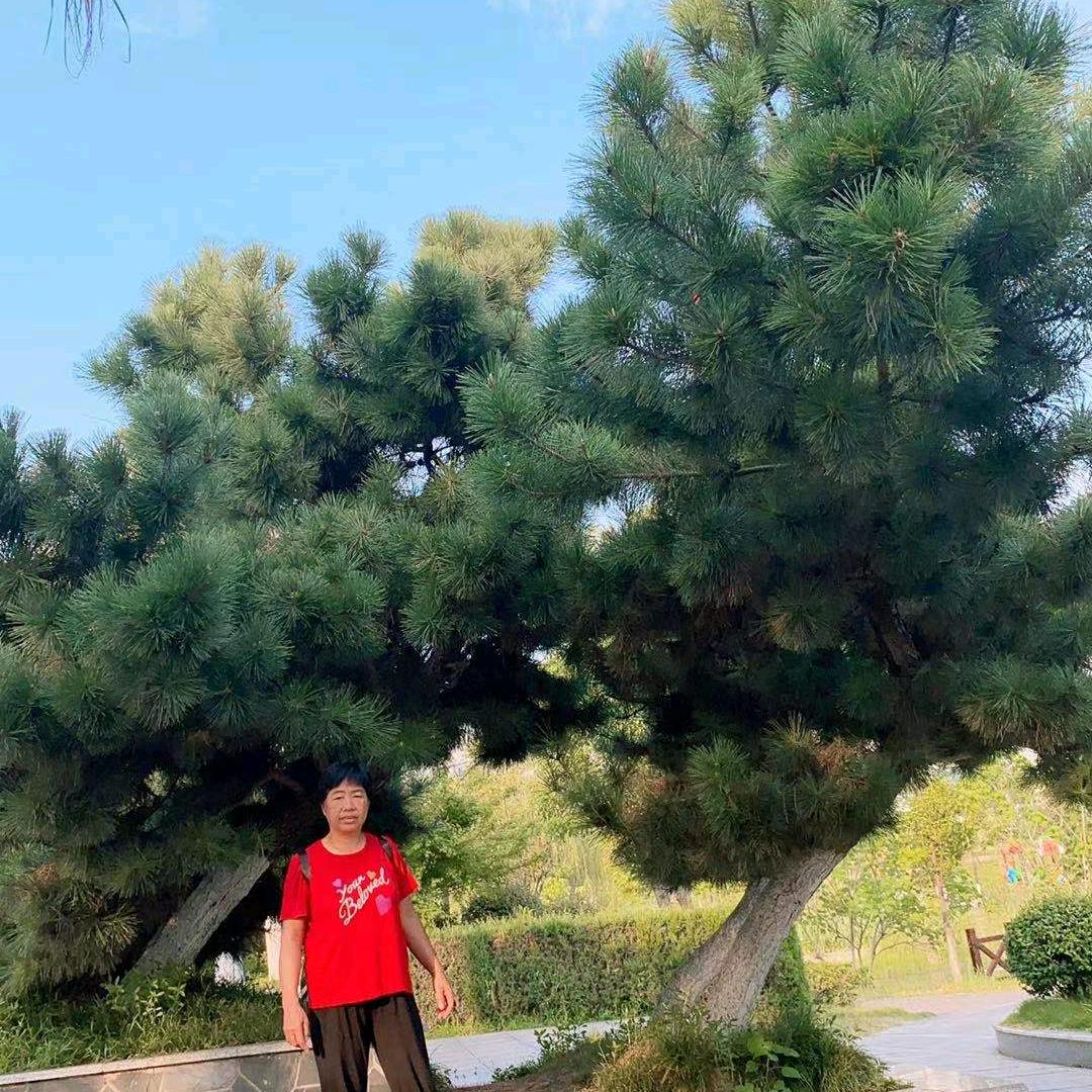 才艺老王
