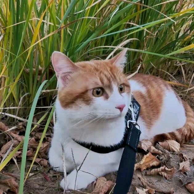 郑州壁布施工队