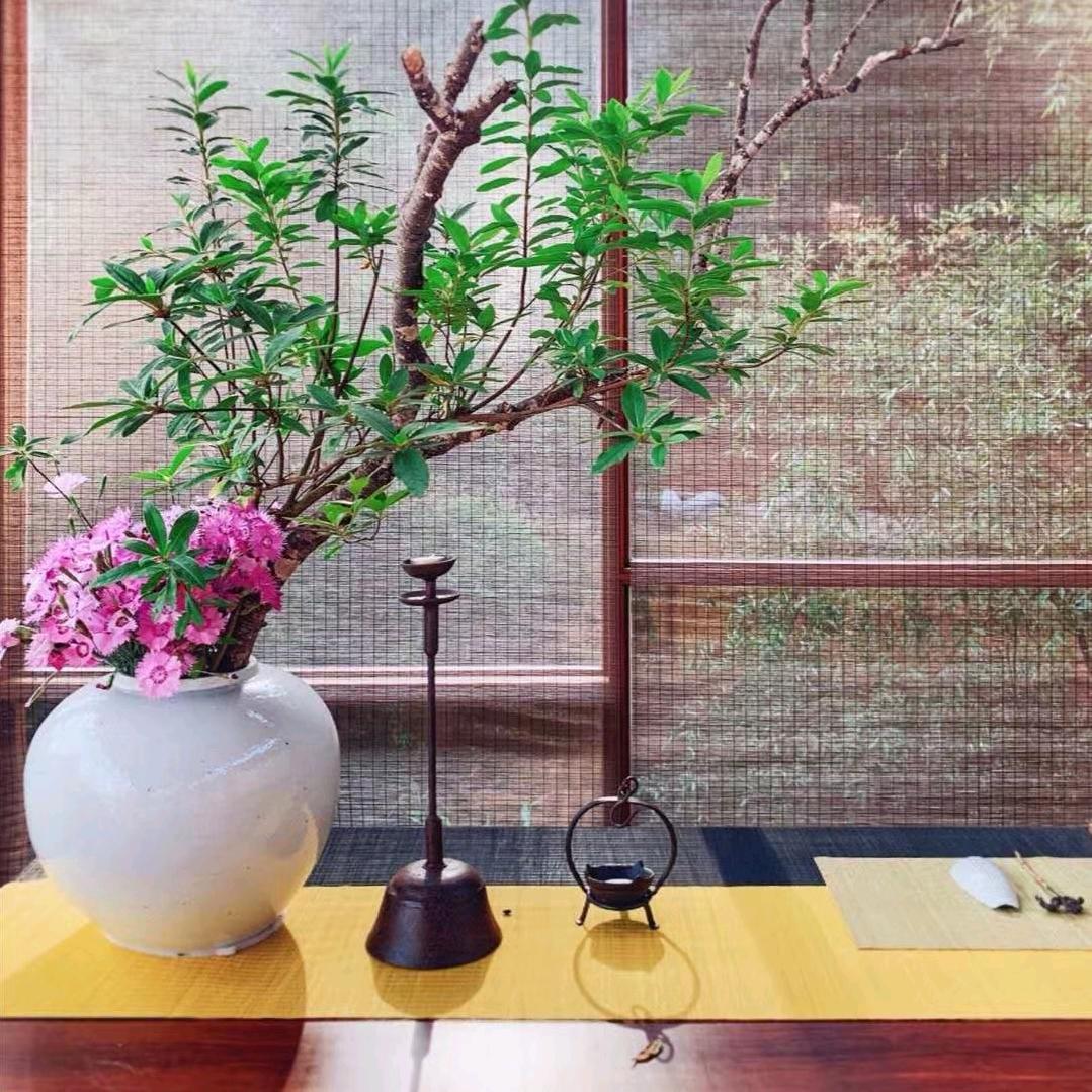 清清悠然茶器