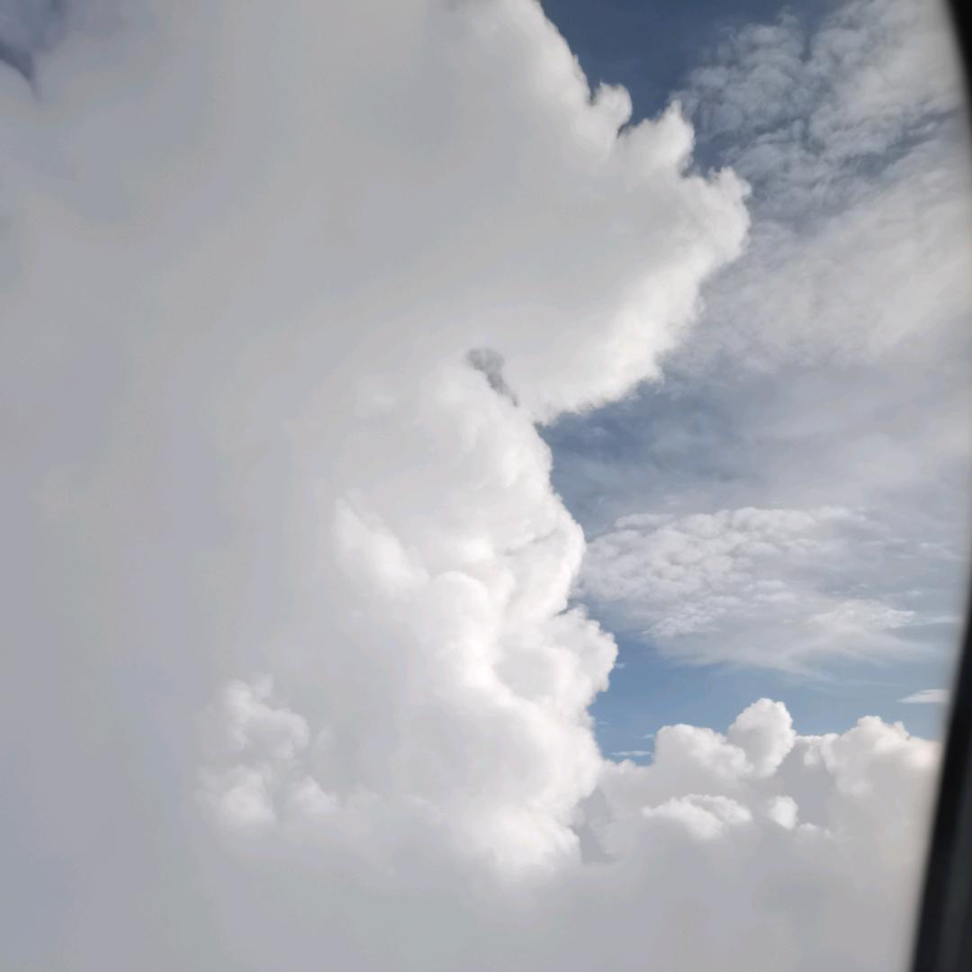 天空飞鸟