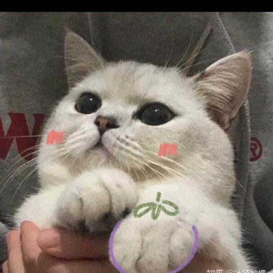叫她小仙女