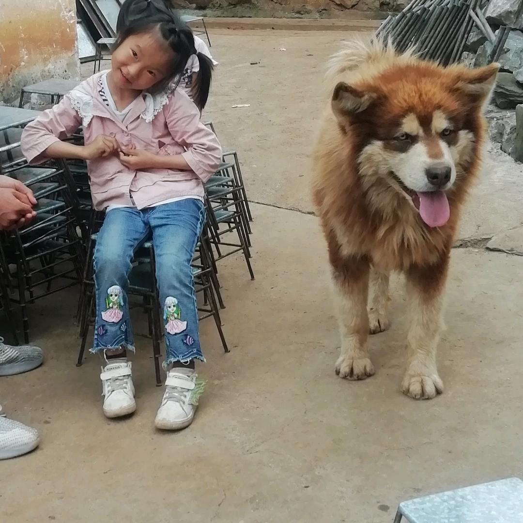 ℳꪶⅈꪊ劉᭱ꦿএ⁵²⁰