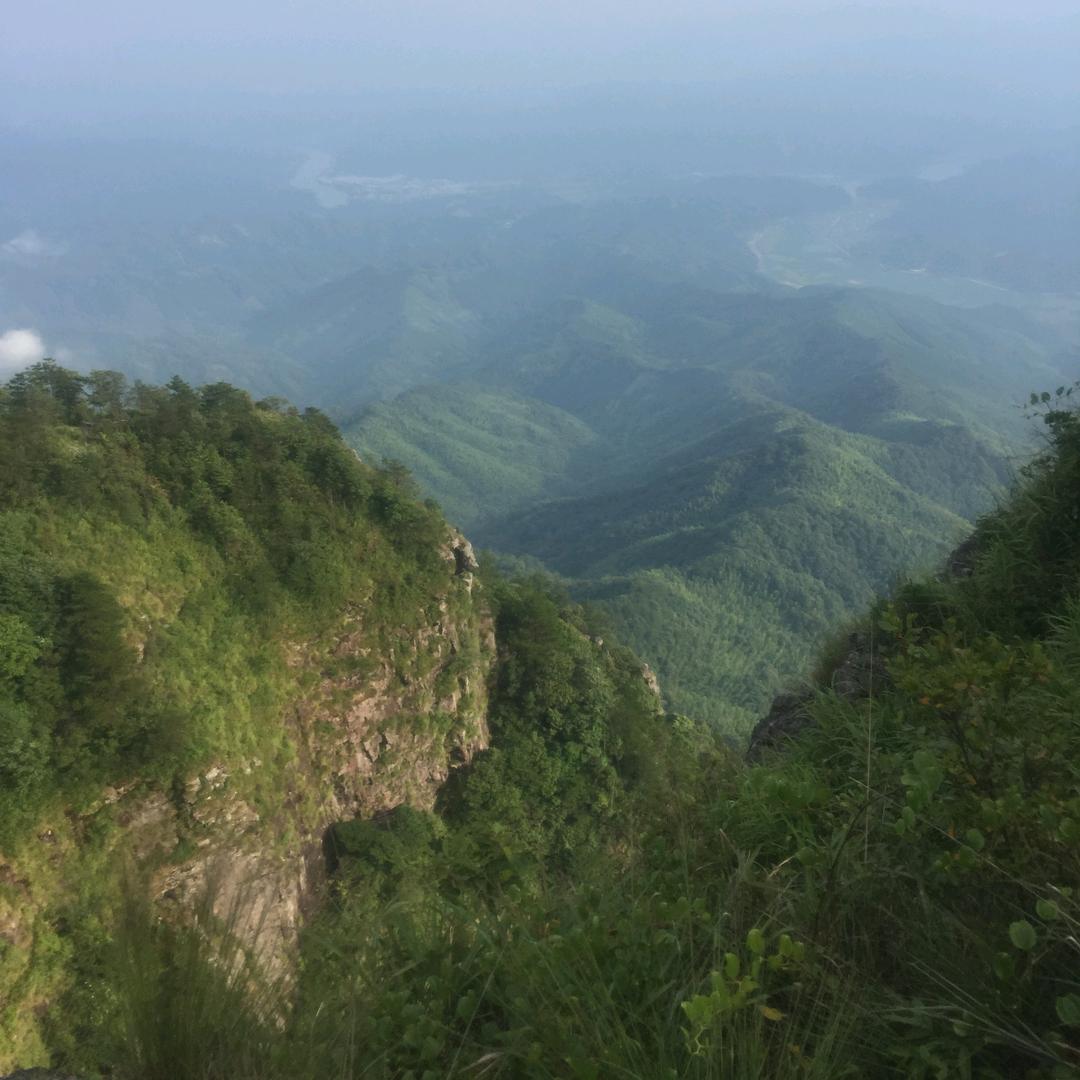 雷朋汽车隔热膜漆面保护膜(嘉兴店)