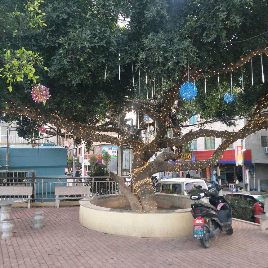 孟哥哥