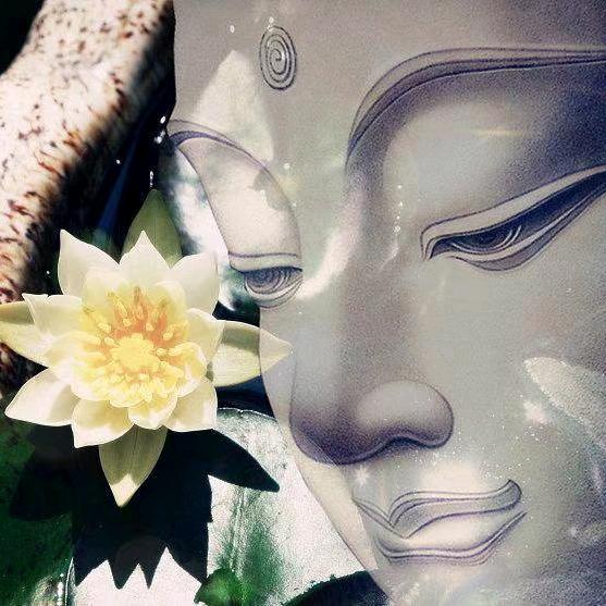 镇安县君尚彩钢