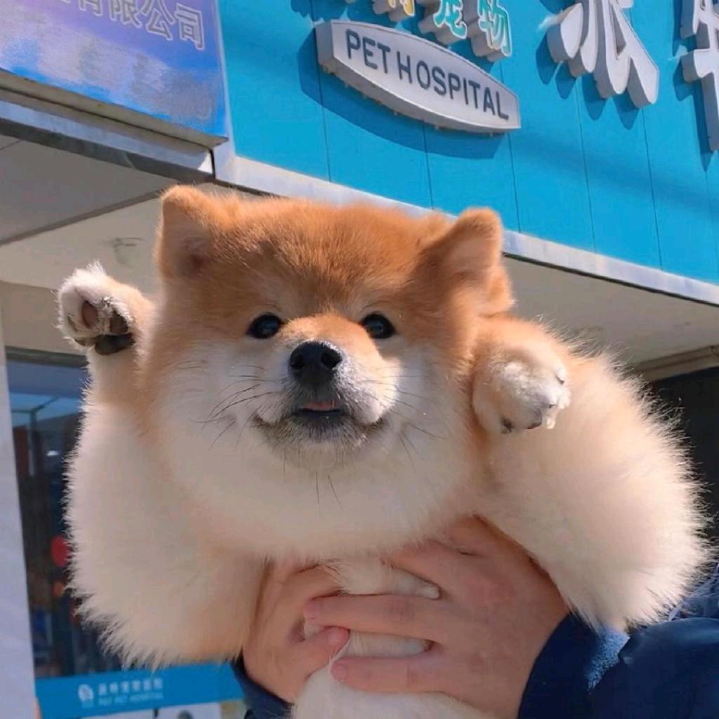 ☀七季