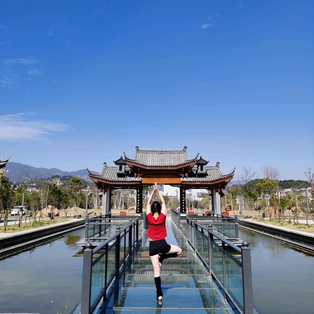 梦里花落知多少