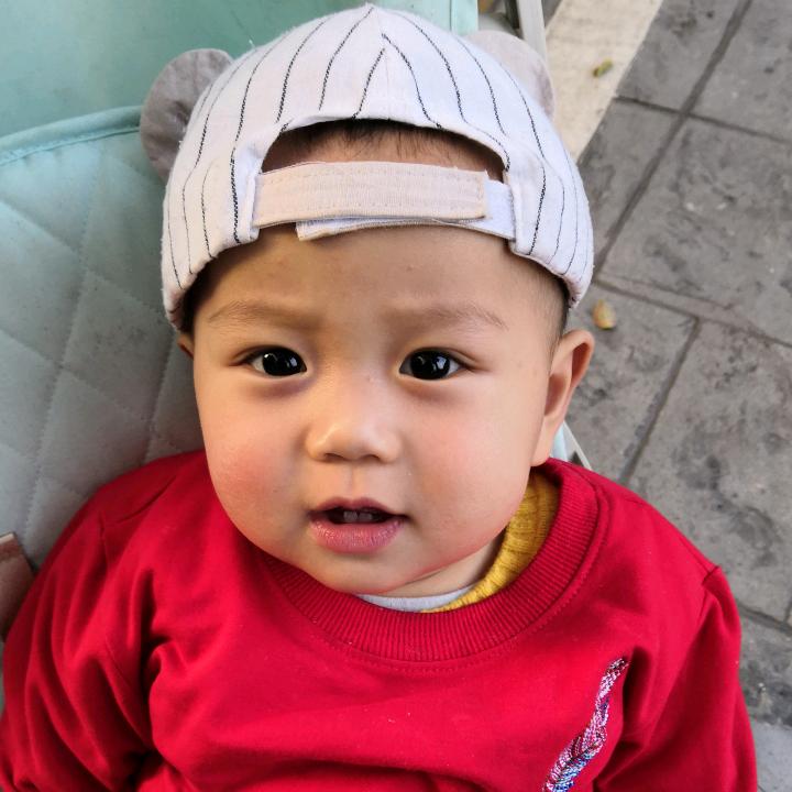 月半家族