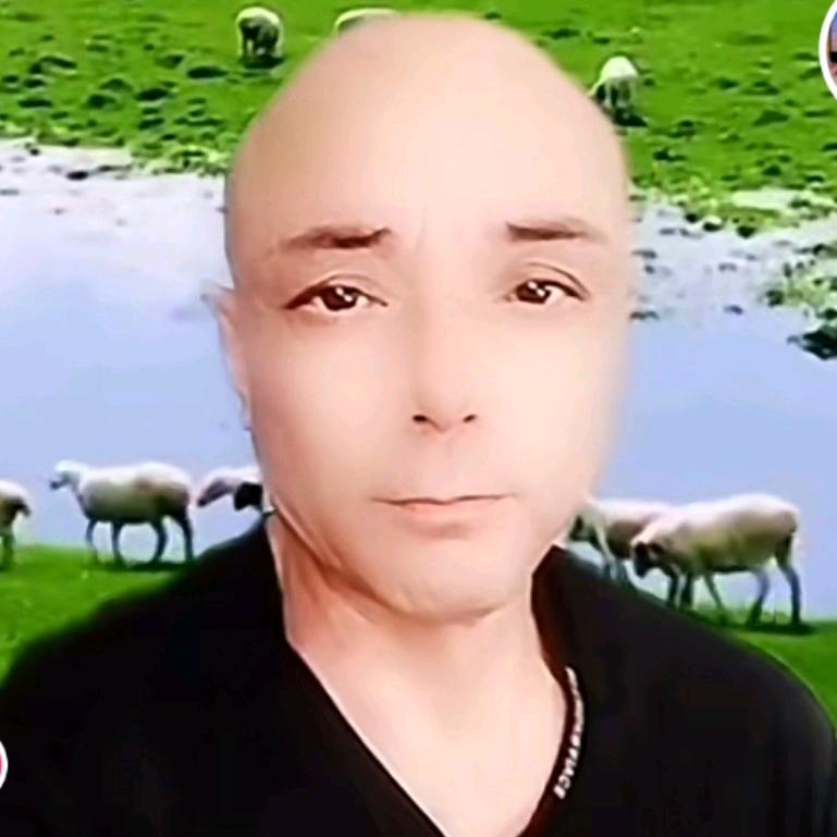 浪漫人生🎤：