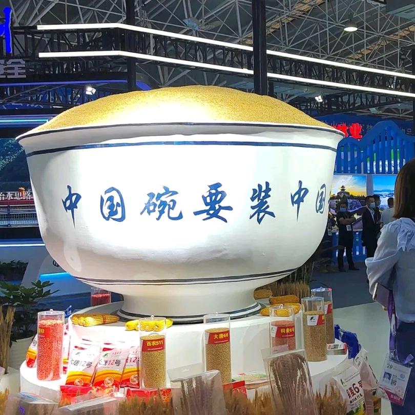 天下粮心