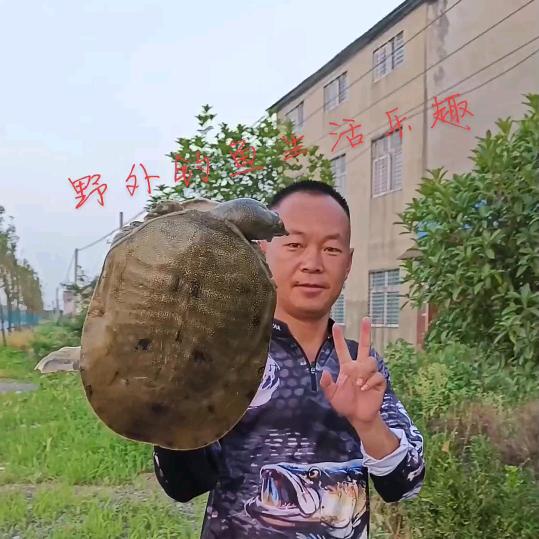 甲鱼哥水产