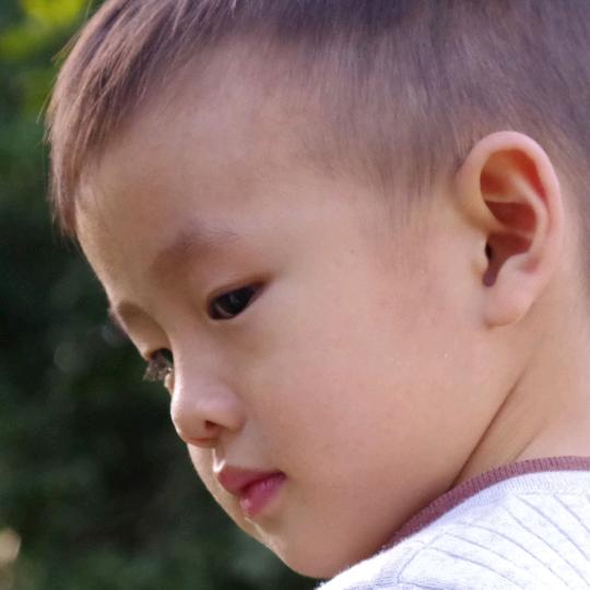 经典蒙学