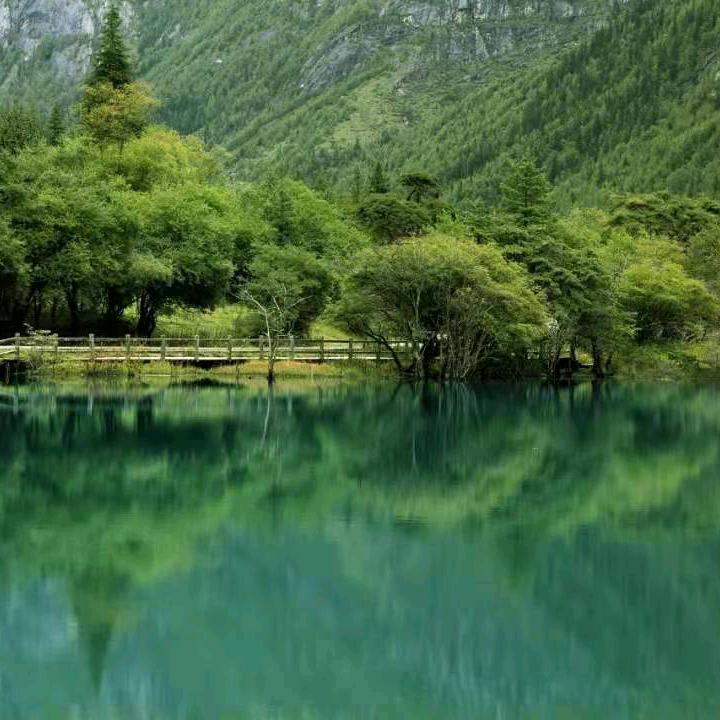 峰回路转