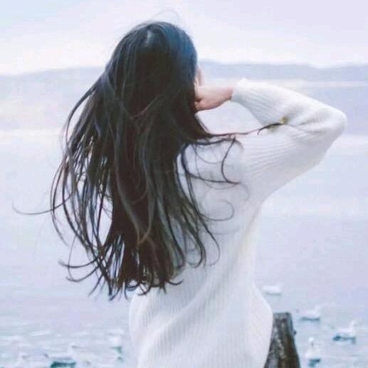 💫️萍水相逢