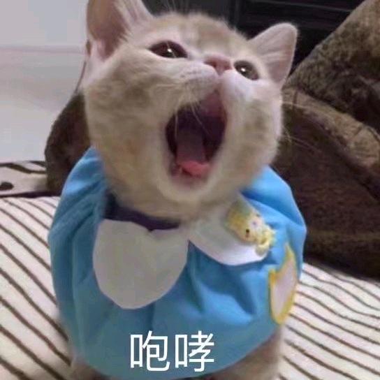 爱玩CR仅此而已
