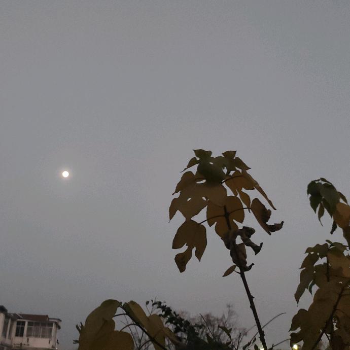 前线一哥