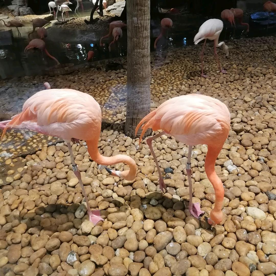 绿韵之恋衣橱小铺