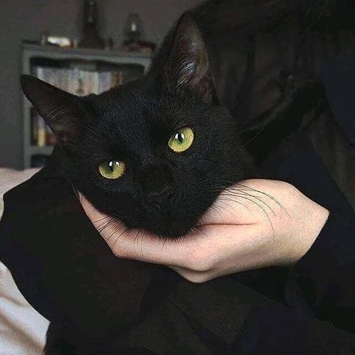 磊磊，