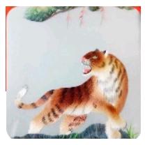 喜欢写草书