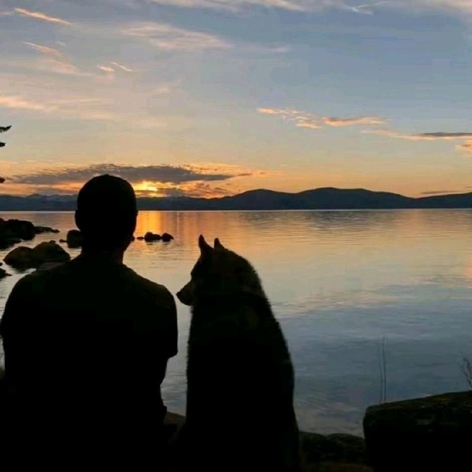 一颗陨落的流星雨