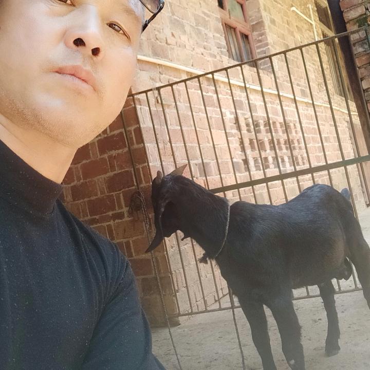 喜得羊家庭农场